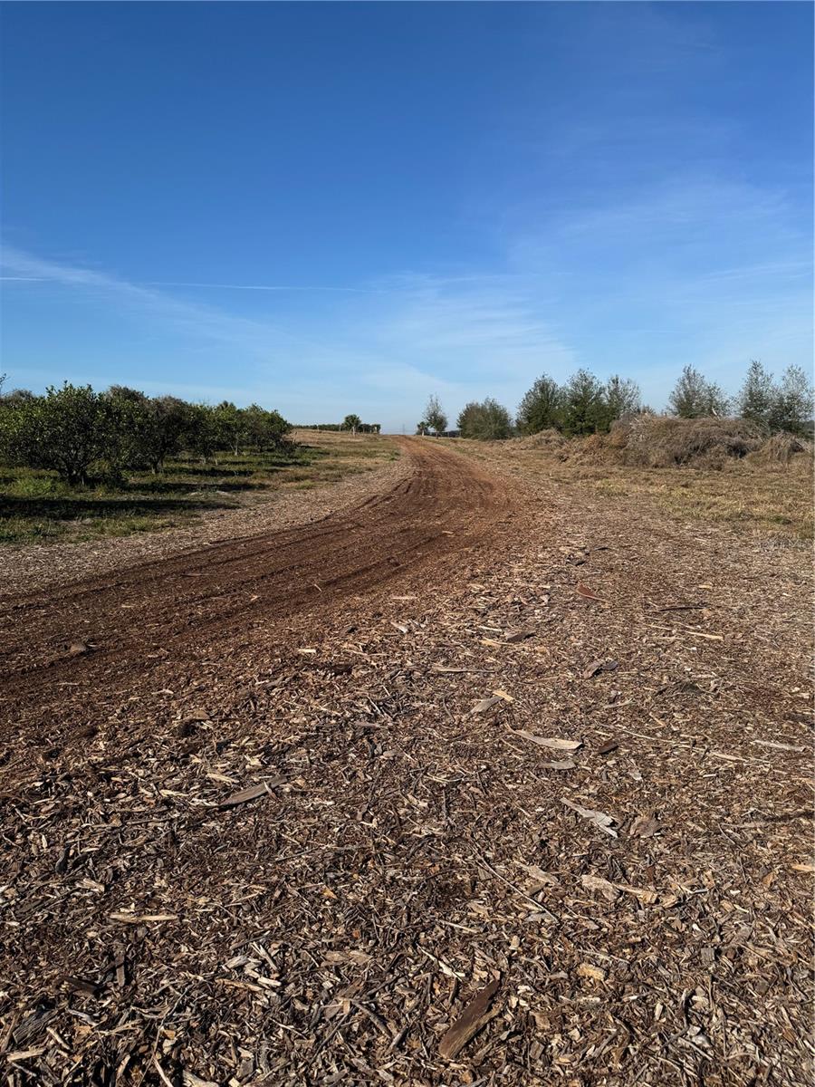 Punkin Center Road, FL 34737