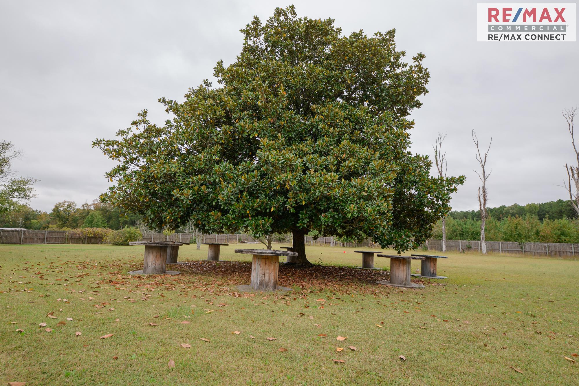 17466 Benns Church, 17466 Benns Church Boulevard, Smithfield, VA 23430