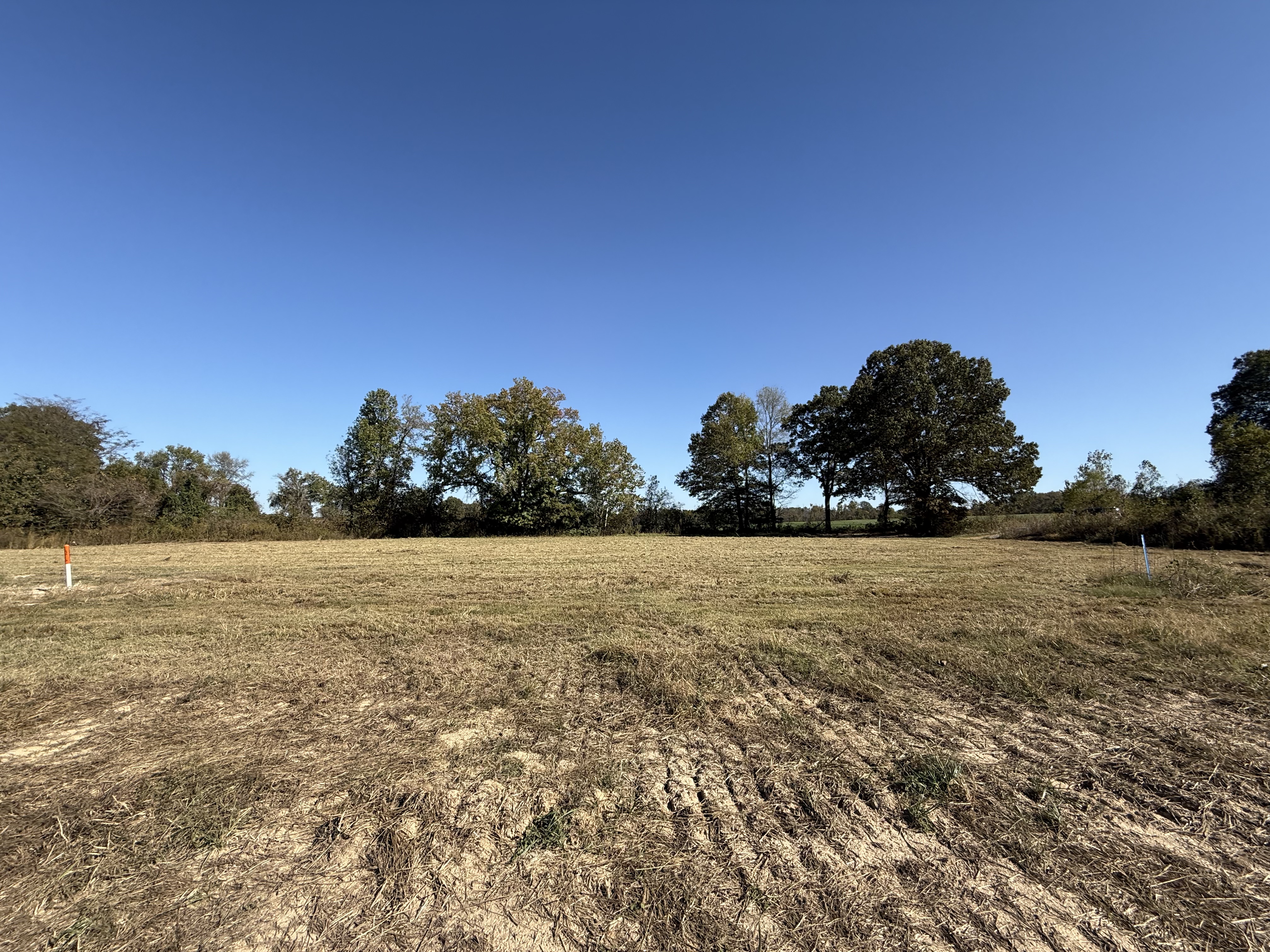 0 Hwy 222 - 1.24 Acres - Across from Ford Blue Oval , Stanton, TN 38069