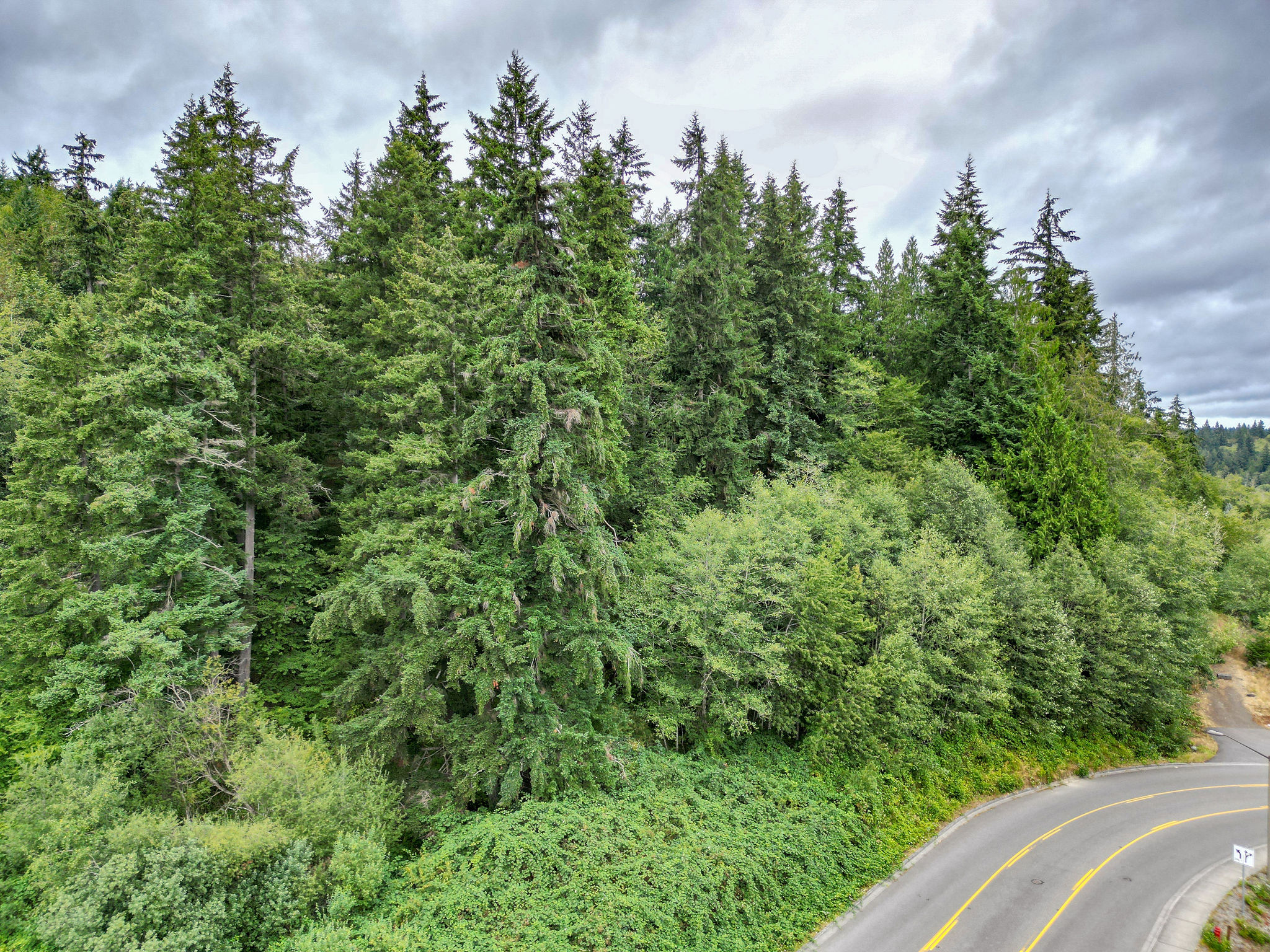 7th ave, Poulsbo, WA 98370