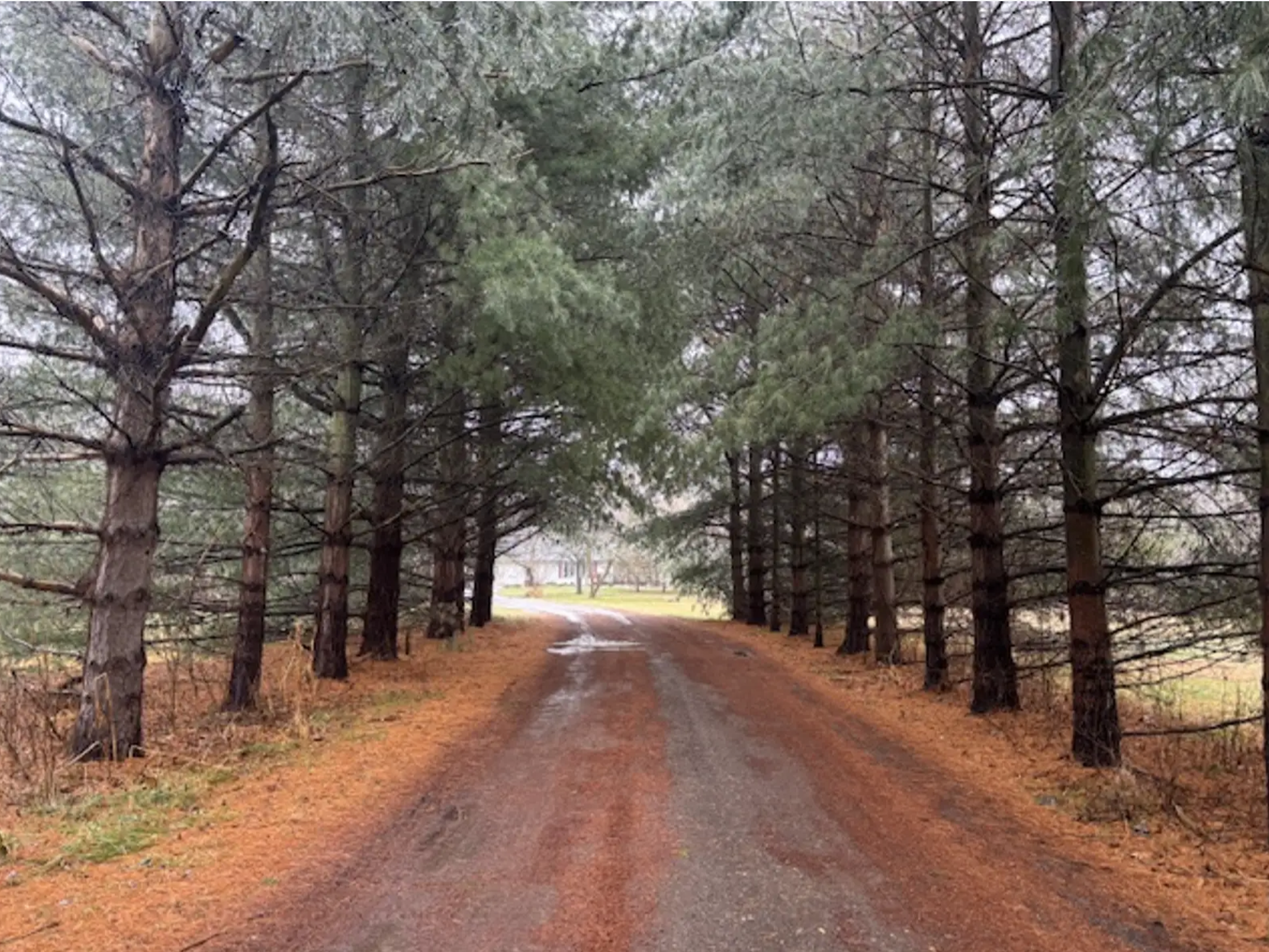 10216 Royston Road, Grand Ledge, MI 48837