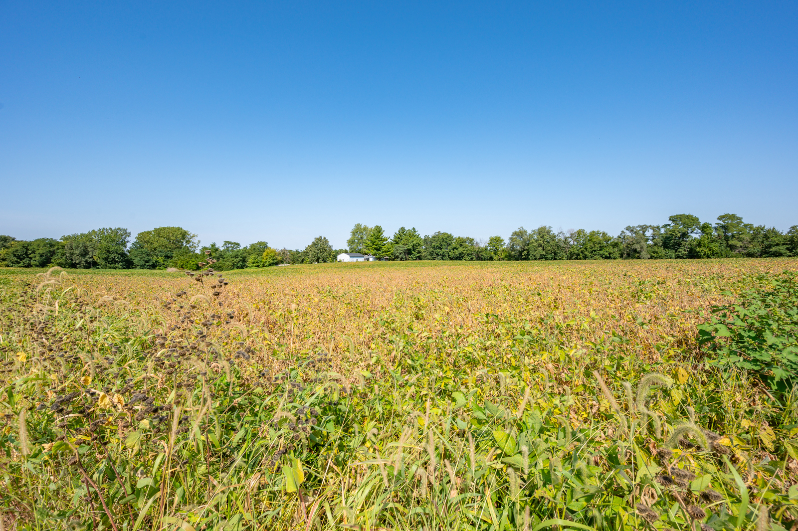 200 North 8th Avenue East, Newton, IA 50208