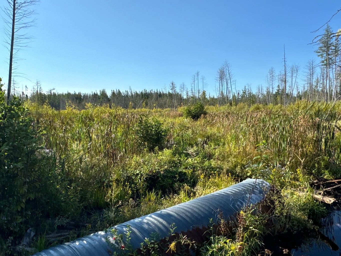 Grendell Road, Chapman, ME 04757