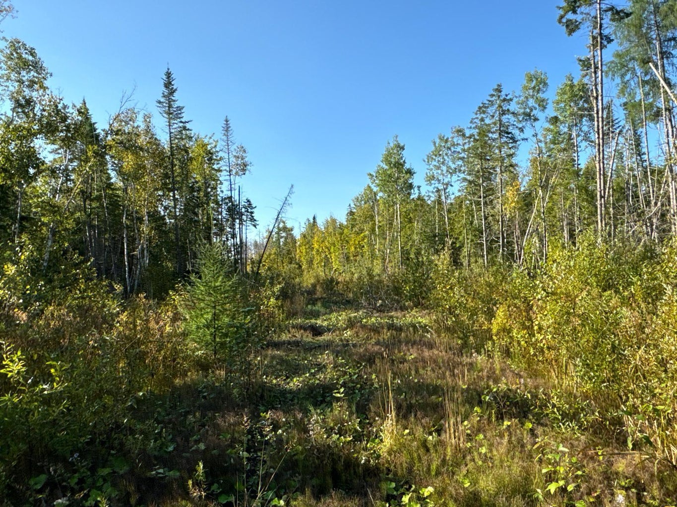 Grendell Road, Chapman, ME 04757