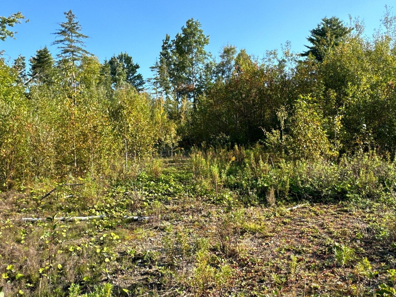 Grendell Road, Chapman, ME 04757