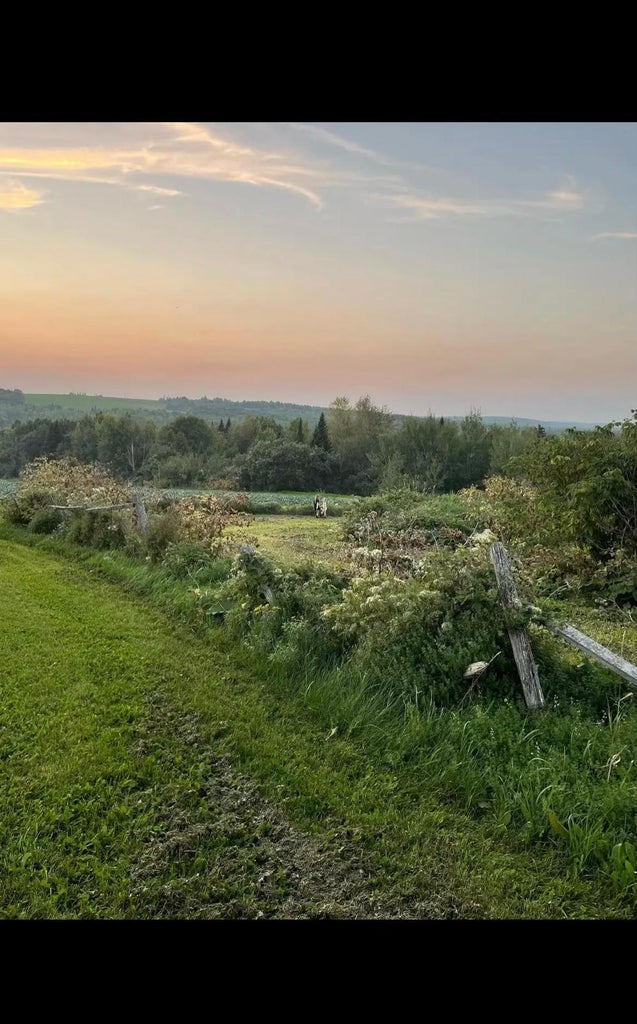 Grendell Road, Chapman, ME 04757