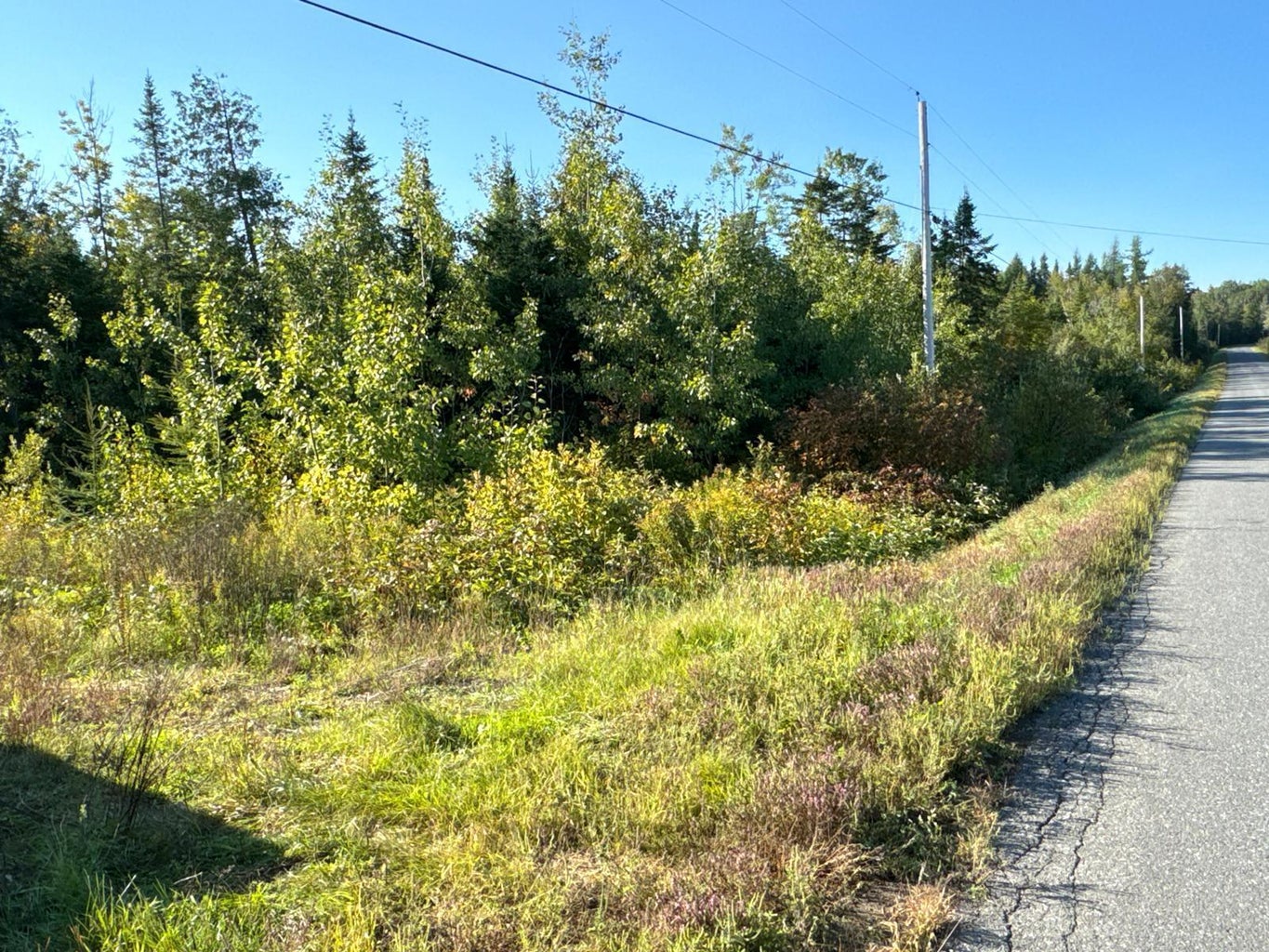 Grendell Road, Chapman, ME 04757