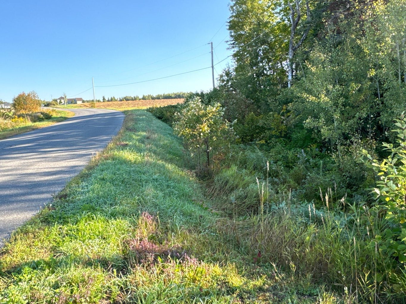 Grendell Road, Chapman, ME 04757