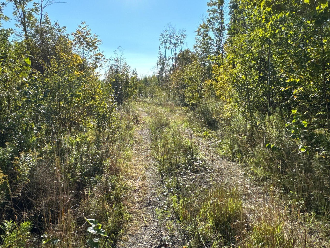 Grendell Road, Chapman, ME 04757