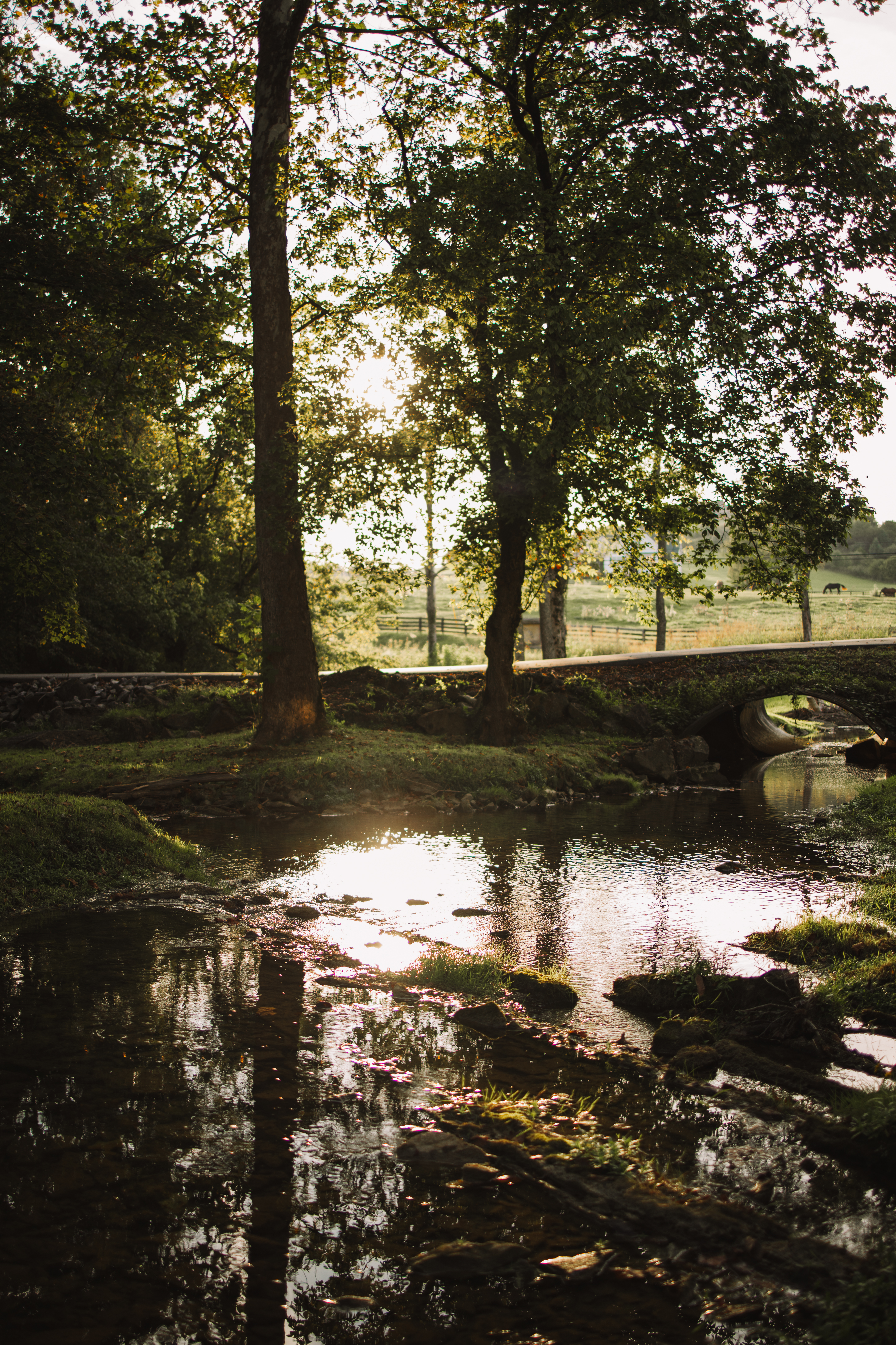 21405 Parks Mill Road, Abingdon, VA 24211