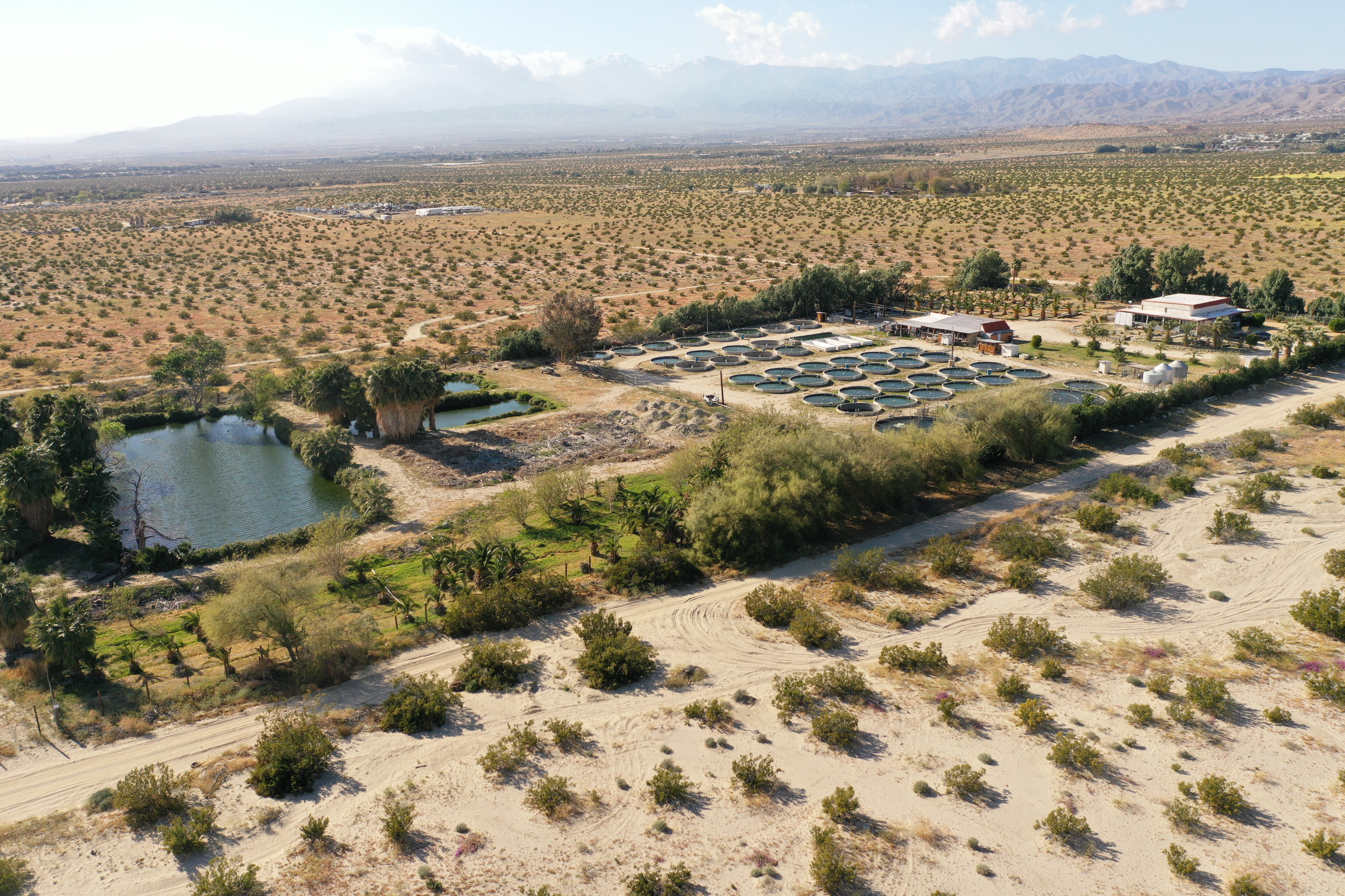 19155 Corkill Road, Desert Hot Springs, CA 92241