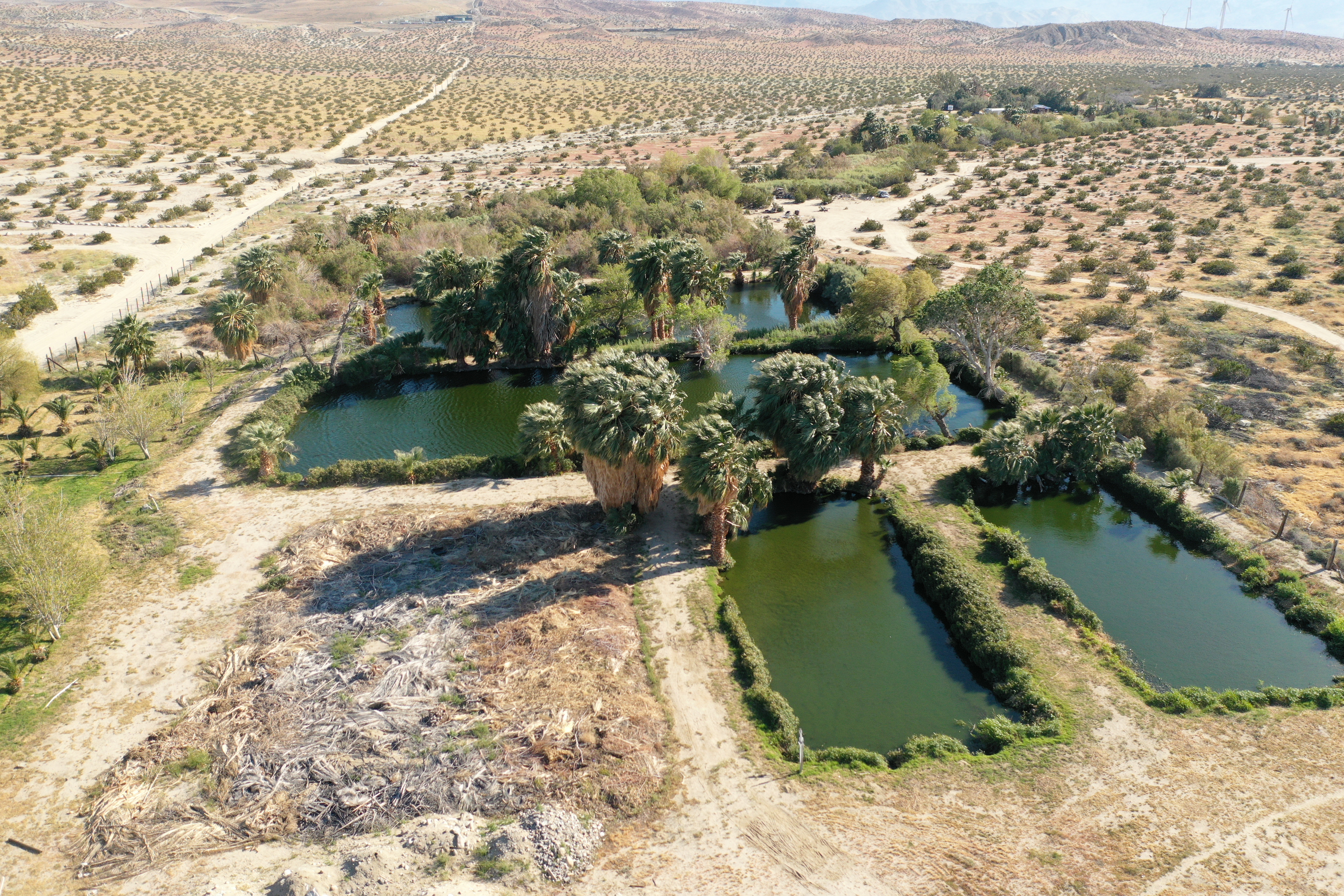 19155 Corkill Road, Desert Hot Springs, CA 92241