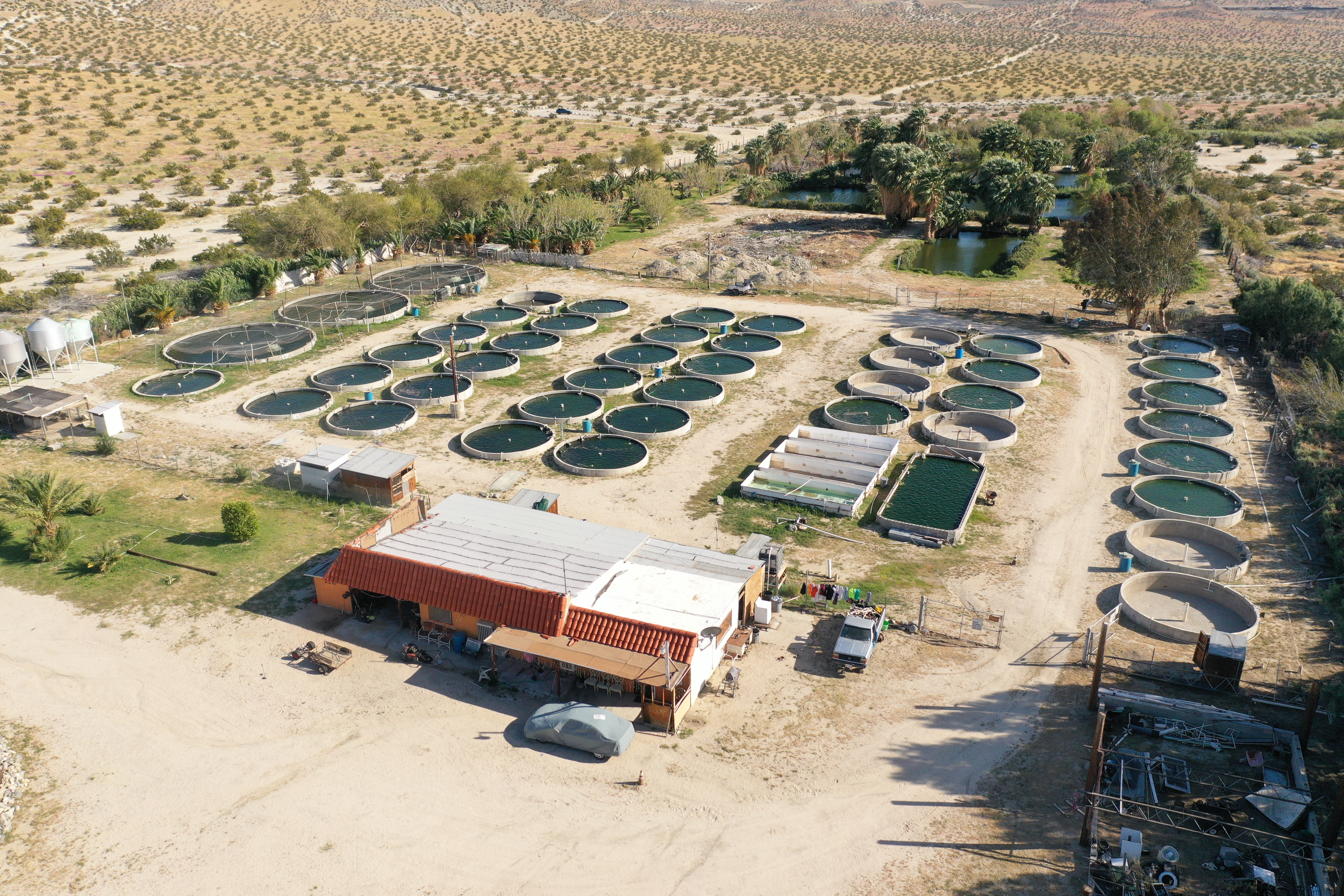 19155 Corkill Road, Desert Hot Springs, CA 92241