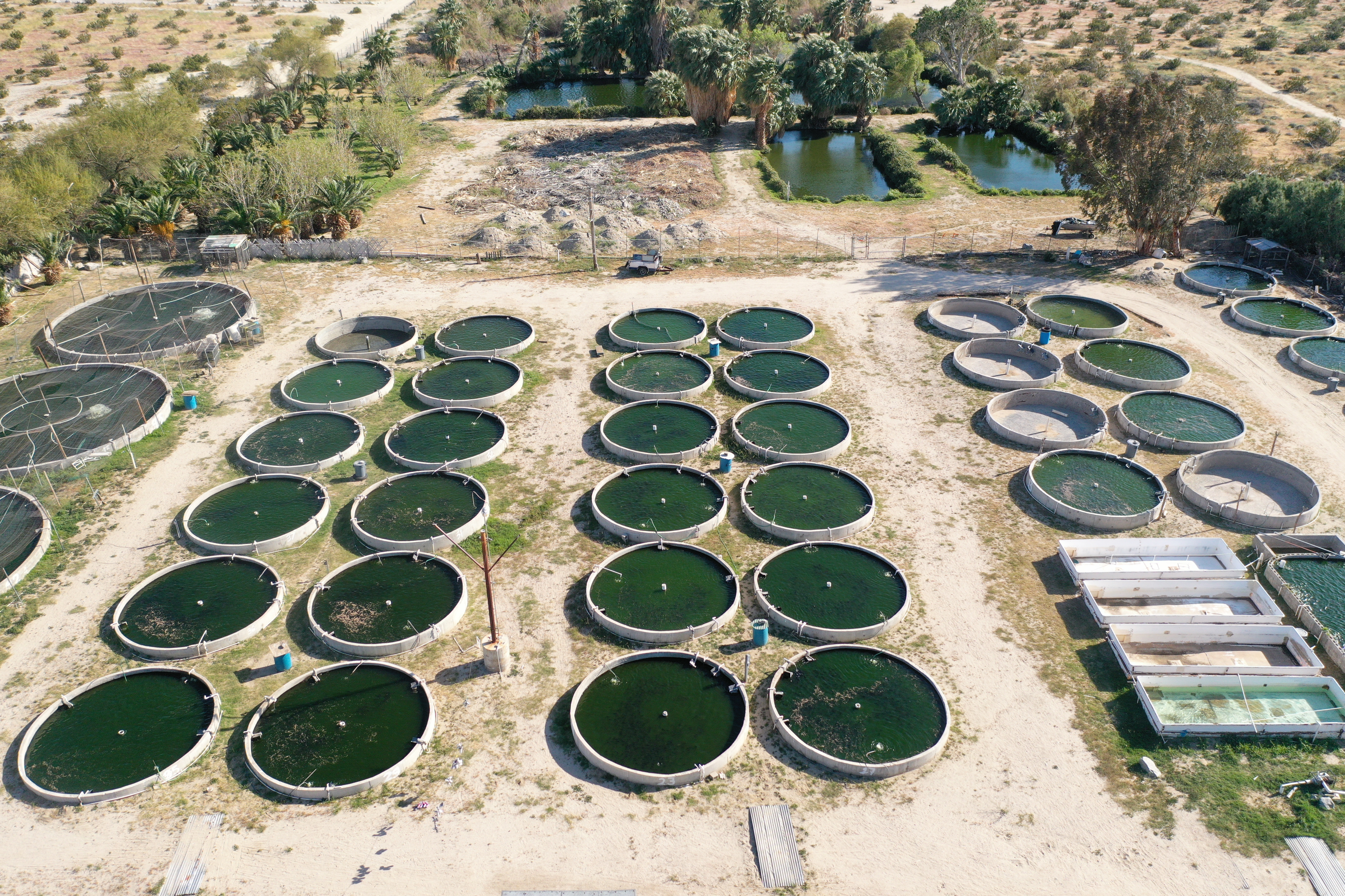 19155 Corkill Road, Desert Hot Springs, CA 92241