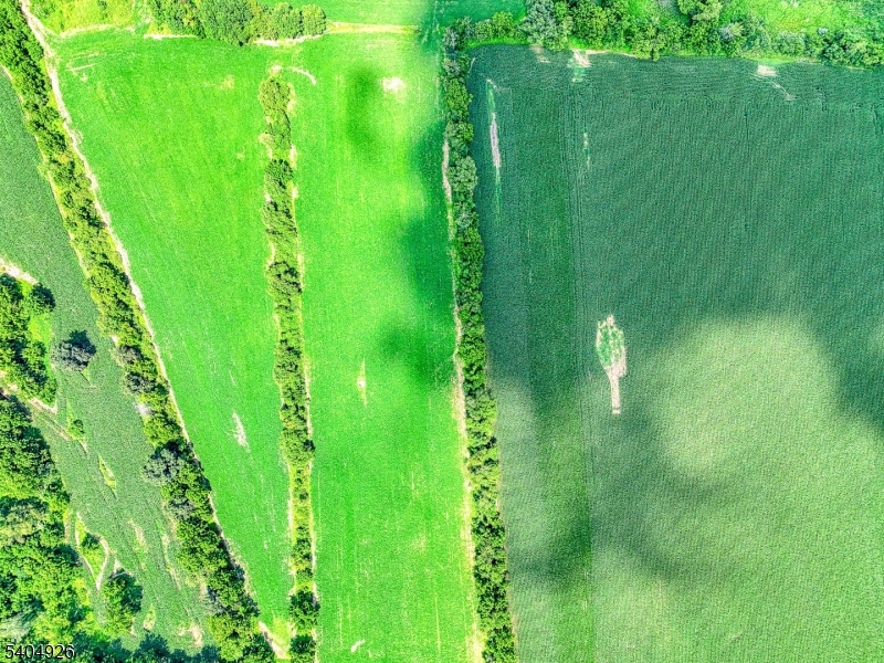 8 Roseberry Road, Washington, NJ 07882