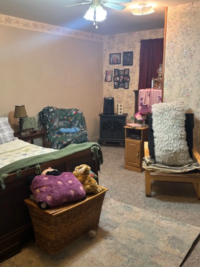 144 Bridge Street, Dimondale, MI 48821