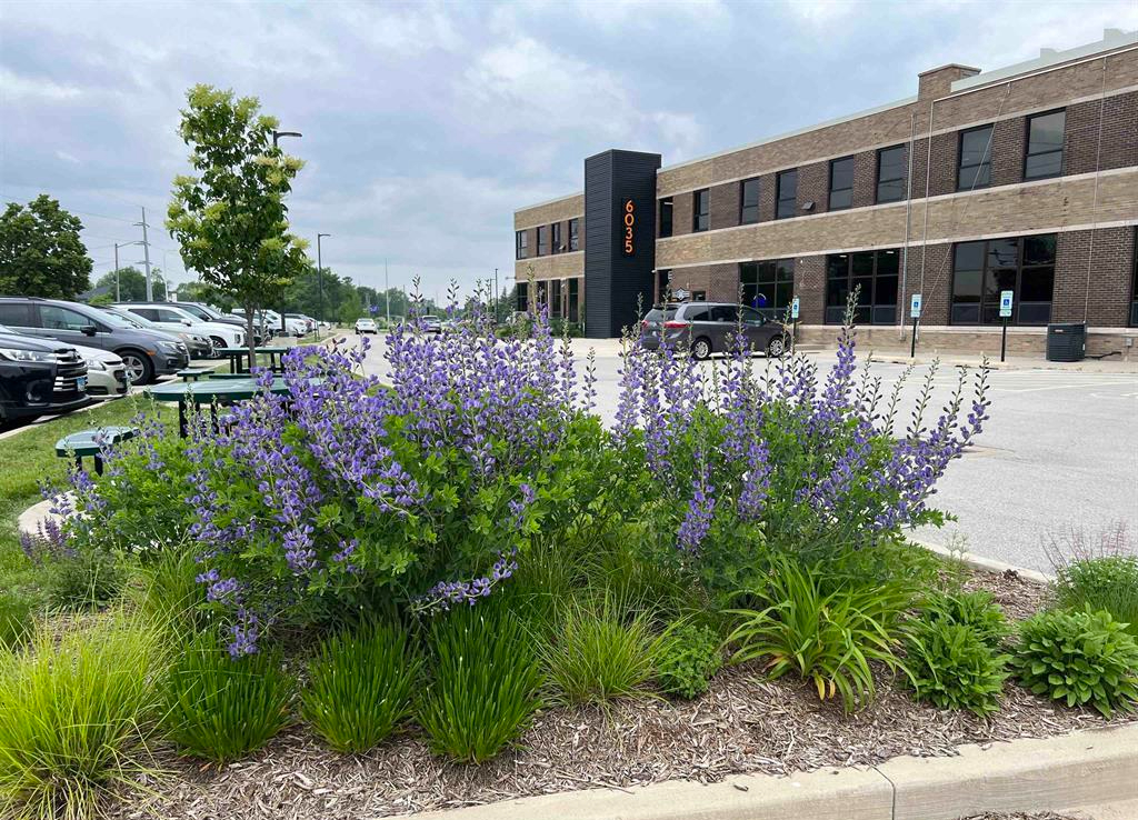 6035 Knoxville Avenue, Peoria, IL 61614