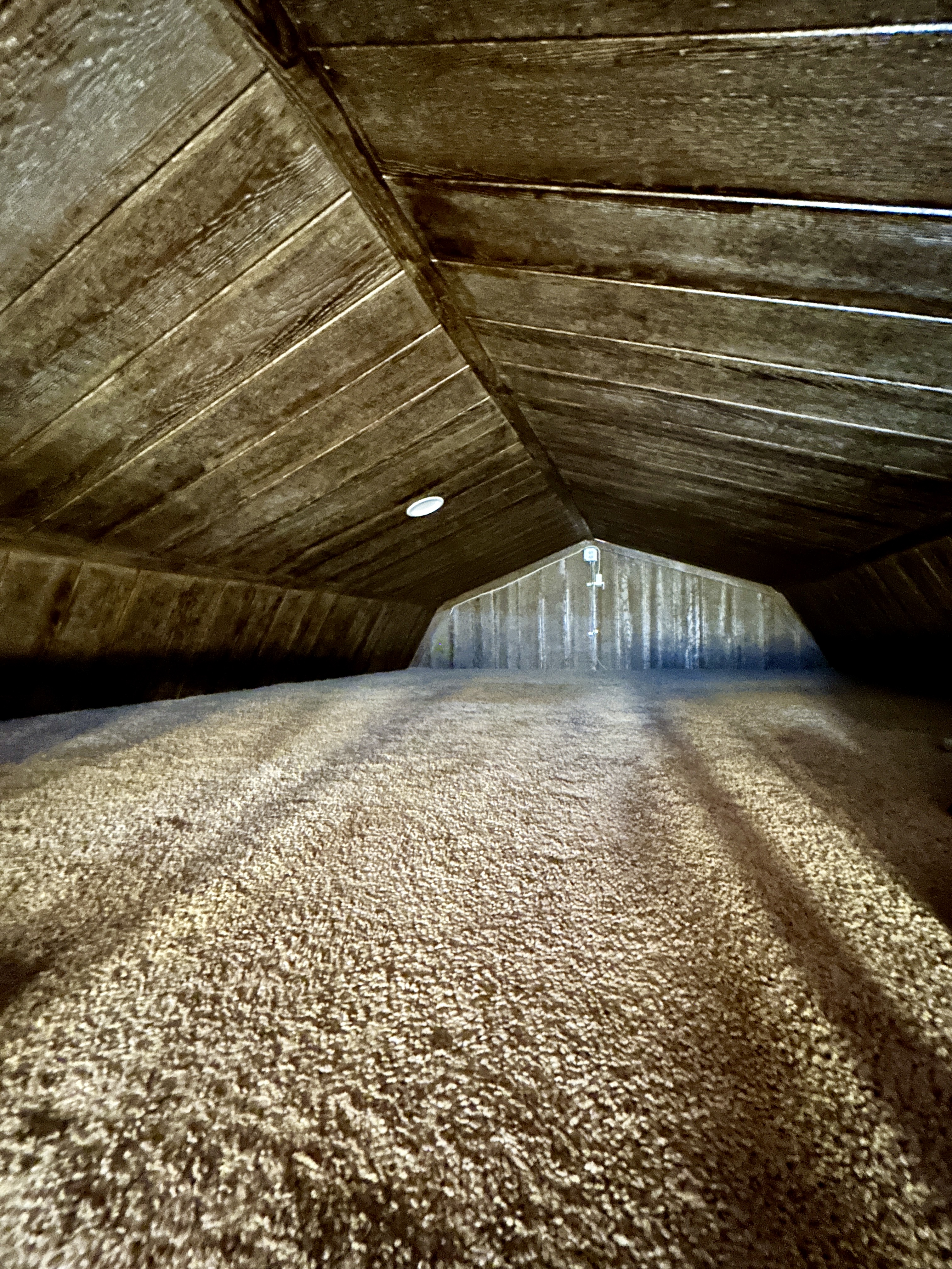 875 Ellyson Road, Fort Stockton, TX 79735