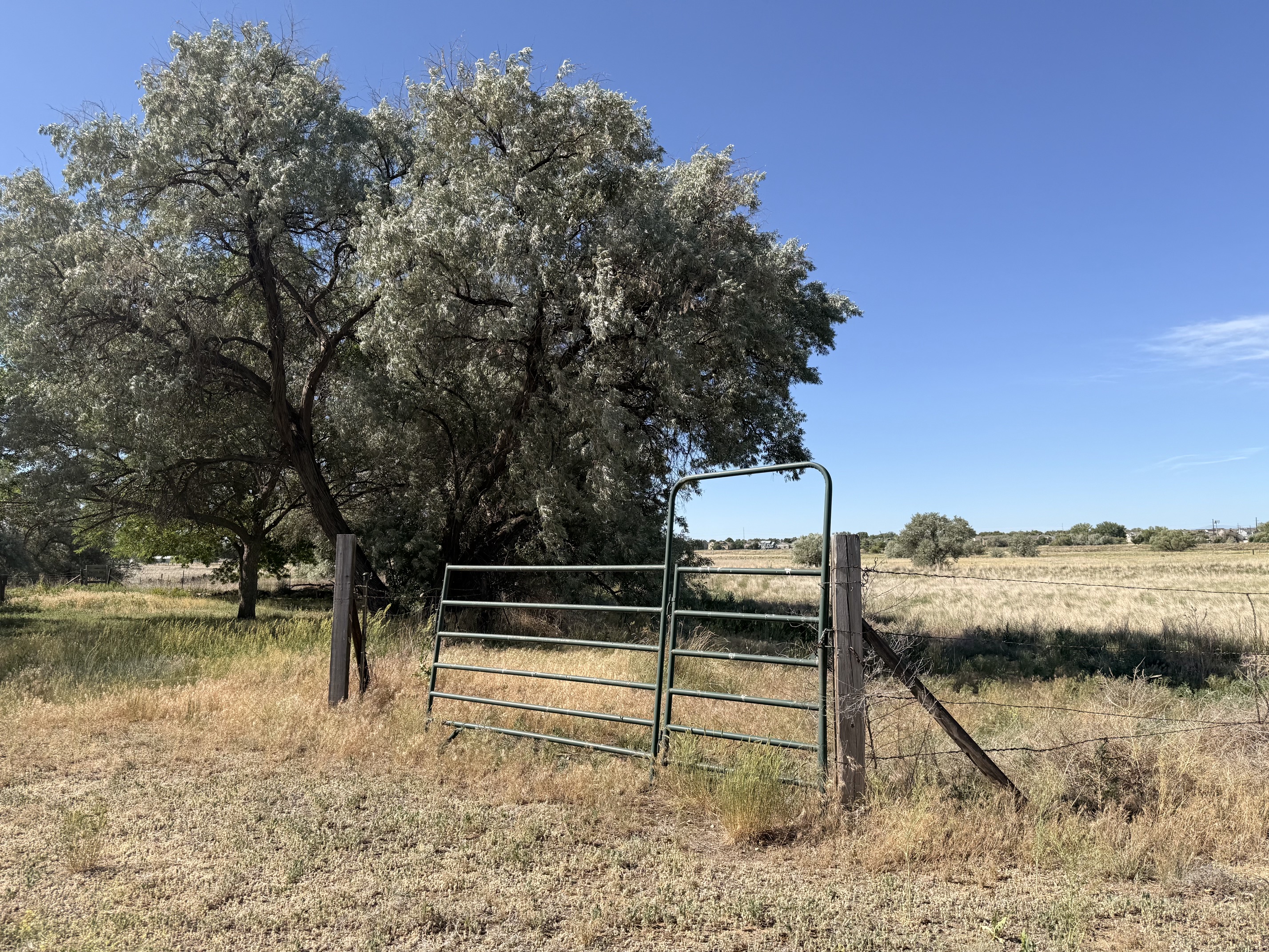 0 County Road 22