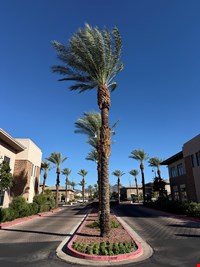 St. Rose Professional Park photo 10