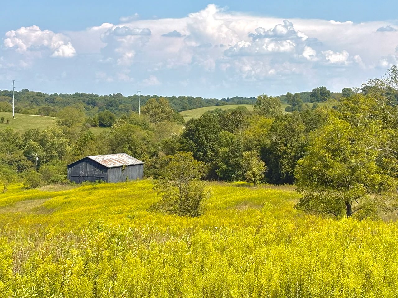 Absolute Auction – 324.5+/-Acres in 7 Tracts