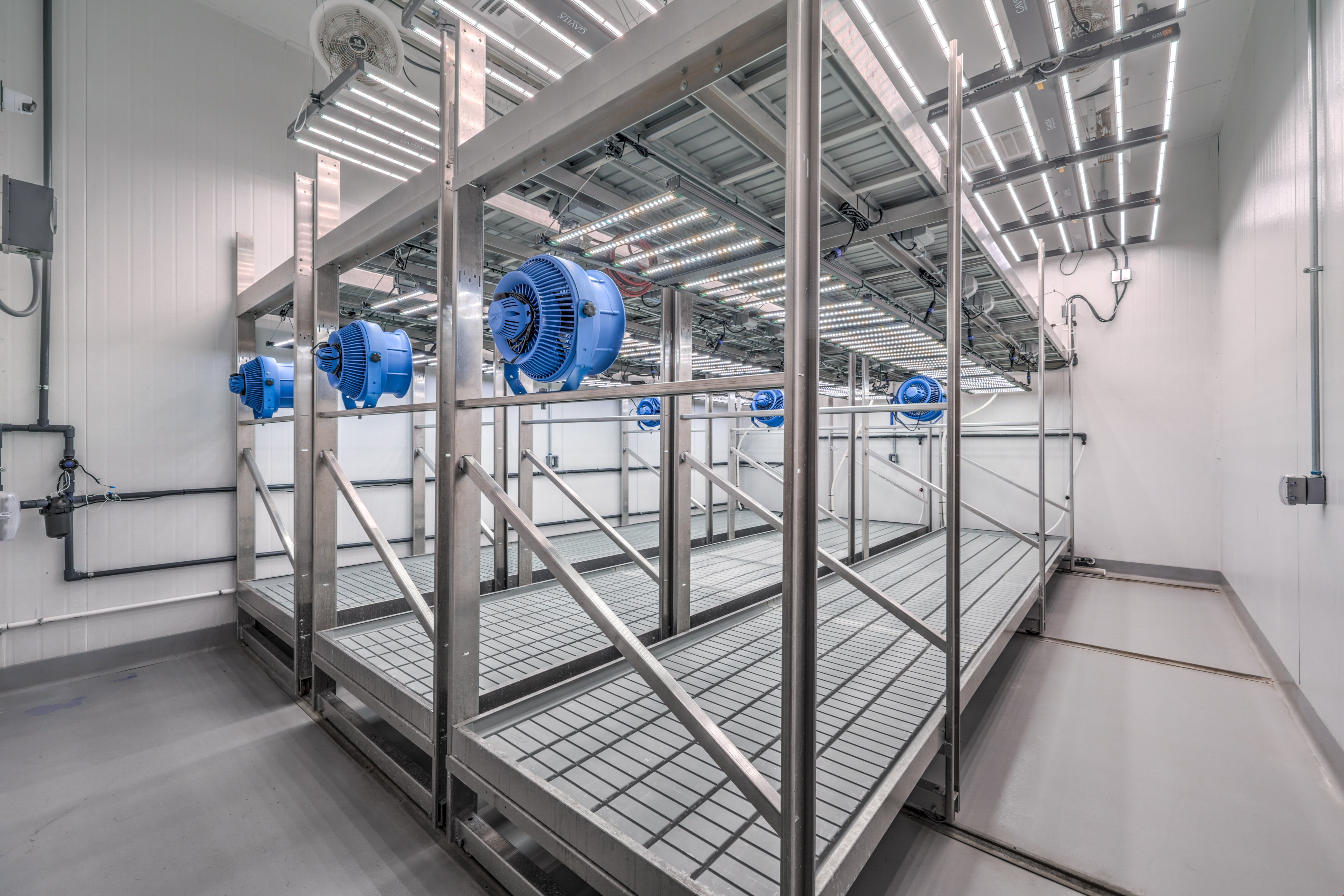  CANNABIS CULTIVATION & DISTRIBUTION LICENSES ARE ACTIVE & OPERATIONAL.
