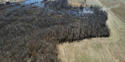 0 Lakeview Rd - 73.74 Acres — Sale in Springfield, TN, photo 5 of 8