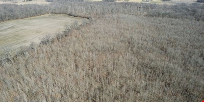 0 Lakeview Rd - 73.74 Acres — Sale in Springfield, TN, photo 6 of 8