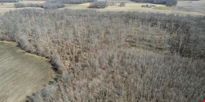 0 Lakeview Rd - 73.74 Acres — Sale in Springfield, TN, photo 7 of 8