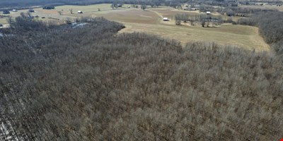0 Lakeview Rd - 73.74 Acres — Sale in Springfield, TN, photo 8 of 8