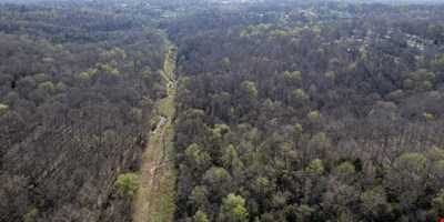 0 Knox Ln - 50.19 Acres — Sale in Clarksville, TN, photo 4 of 8
