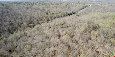 0 Knox Ln - 50.19 Acres — Sale in Clarksville, TN, photo 6 of 8