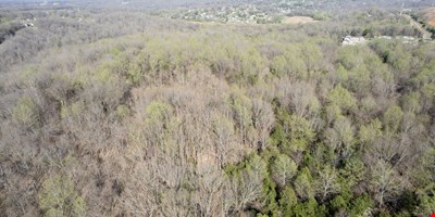 0 Knox Ln - 50.19 Acres — Sale in Clarksville, TN, photo 7 of 8