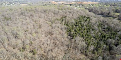 0 Knox Ln - 50.19 Acres — Sale in Clarksville, TN, photo 8 of 8