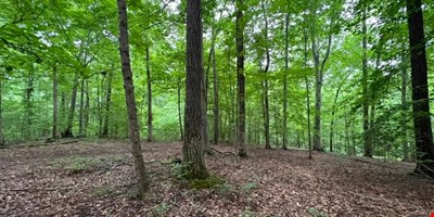152.86 Acres - Knox Ln & Beech St — Sale in Clarksville, TN, photo 5 of 8