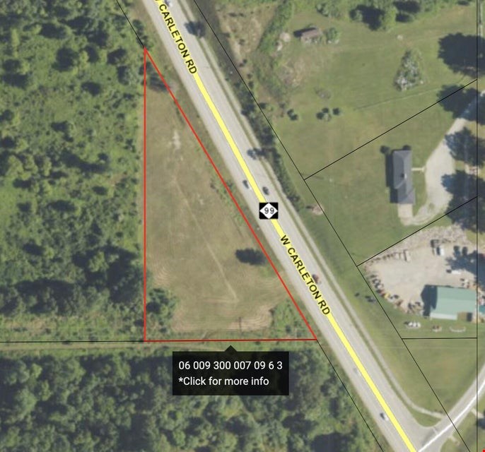 4134 W Carlton Road — Sale in Jonesville, MI, photo 3 of 6