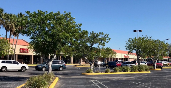 Pinellas Place Shopping Center