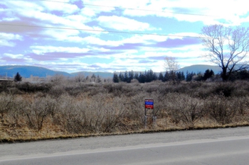 Buck Property