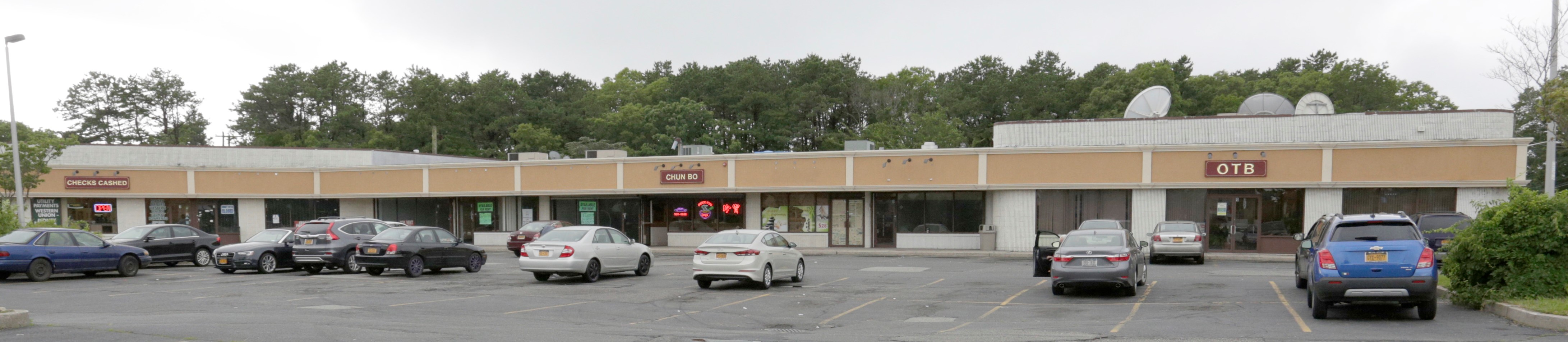 Shirley Plaza FOR LEASE on 60 Northern Boulevard,