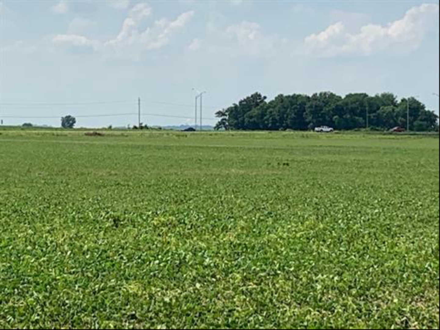 6000 S US Hwy 41 N, 600 CR , Fort Branch, IN 47648