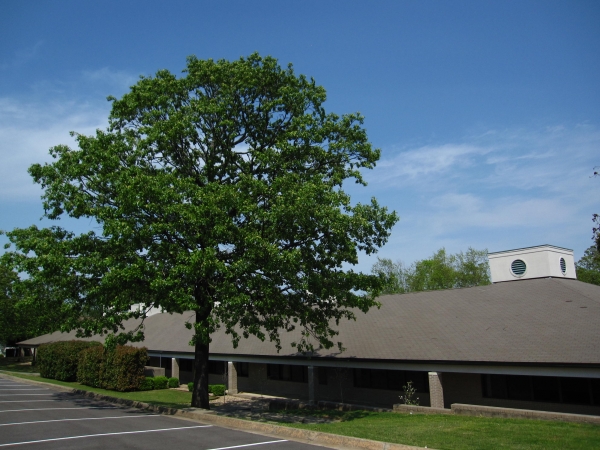 3805-3901 McCain Park Offices