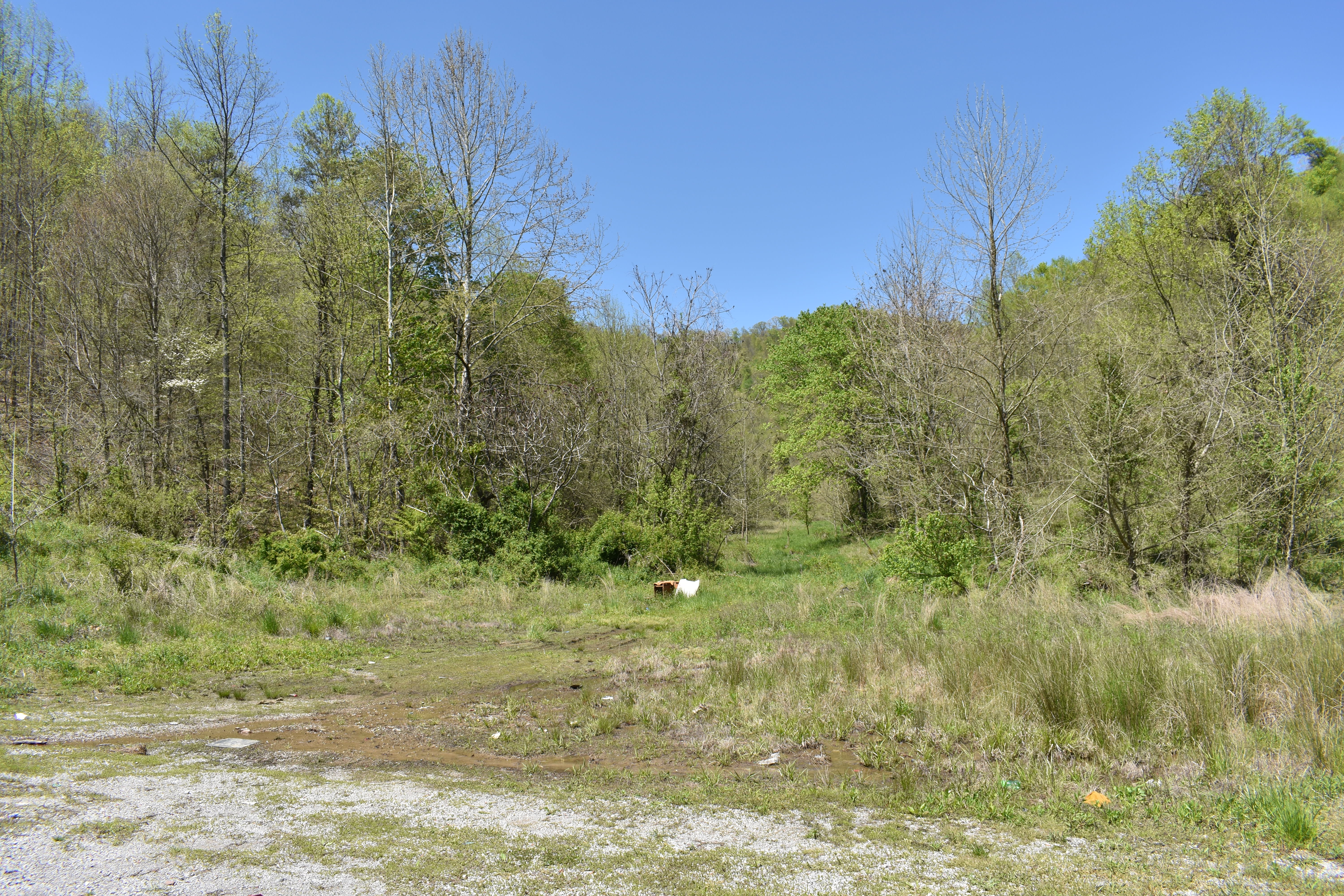 Vacant Land (10+ Acres) in Pineville FOR SALE on Sharp's Branch,
