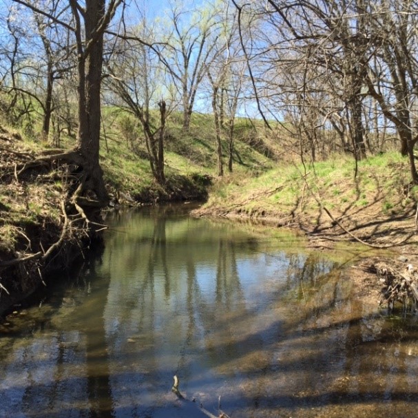 Northeast 251 Road, Clinton, MO