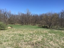 Northeast 251 Road, Clinton, MO