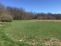 Northeast 251 Road, Clinton, MO