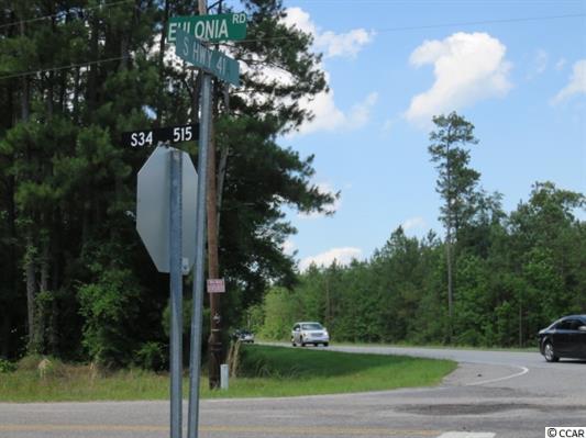 Elonia Rd., Marion County, SC, Elonia Road, SC