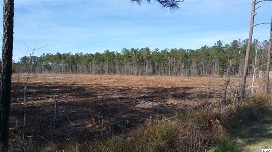 Elonia Rd., Marion County, SC, Elonia Road, SC