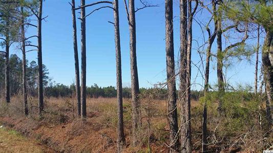 Elonia Rd., Marion County, SC, Elonia Road, SC