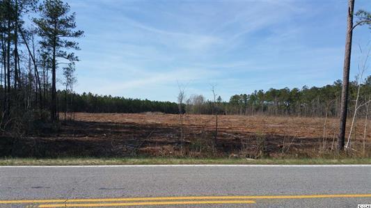 Elonia Rd., Marion County, SC, Elonia Road, SC