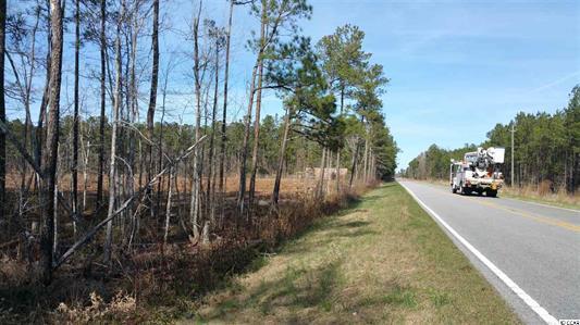 Elonia Rd., Marion County, SC, Elonia Road, SC